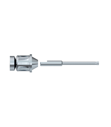 INSERTO TORX