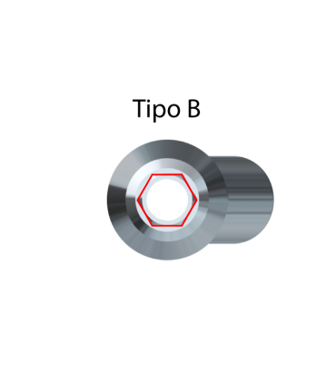 Biotech Dental ®Custom. Abutment Angolato Ø 4 + Vite