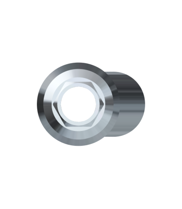 AlphaBio® Abutment Angolato  "Versione Slim" Esagono Interno (IH)+ Vite